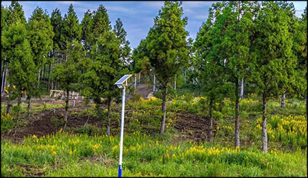 farolas-solares-LED